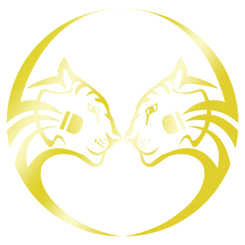 Twin Tigers Sports